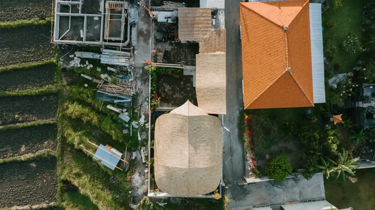 The rice fields around the studio in Kerobokan, seen from above